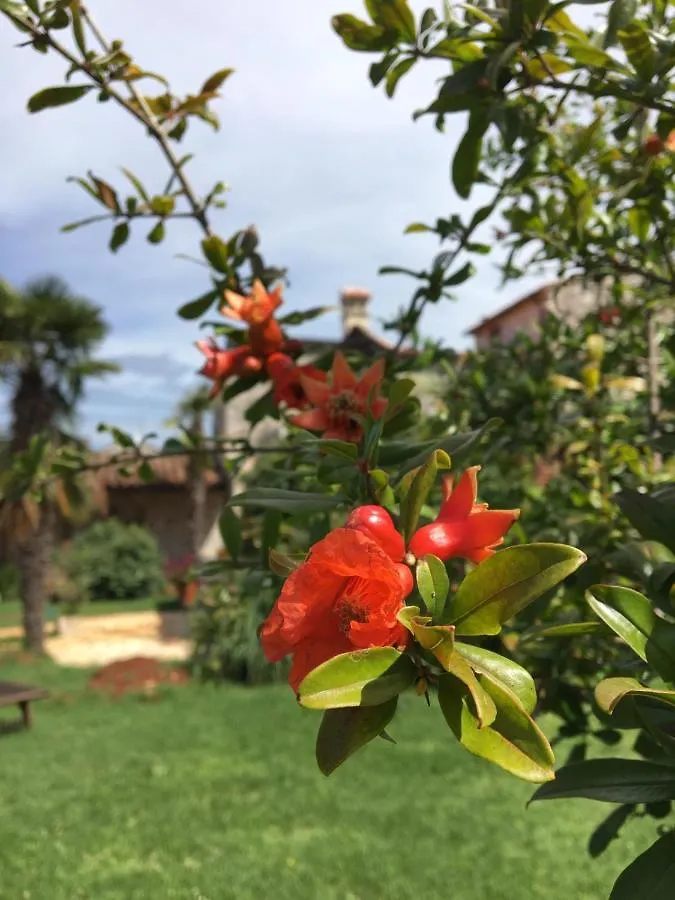 Appartment Hacienda Monica Ουμάγκ 0*,  Κροατία